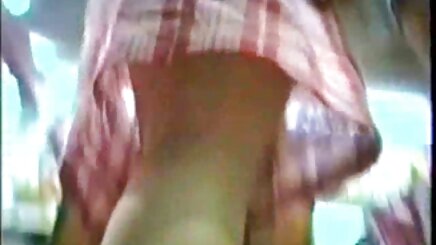 hollie sec hoat hinh succs dicc